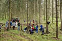 Maibaum holen 2025 