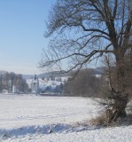 Sirbis im Dezember 2012