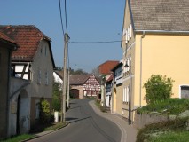 Sirbis im Frühjahr 2009 1