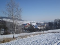 Sirbis im Schnee