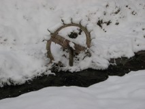 Wasserrad im Winter