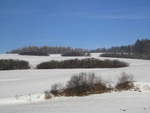Wiesen im Winter
