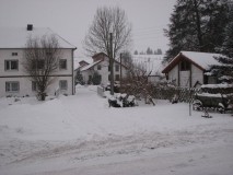 Winter 2010 in Sirbis 2